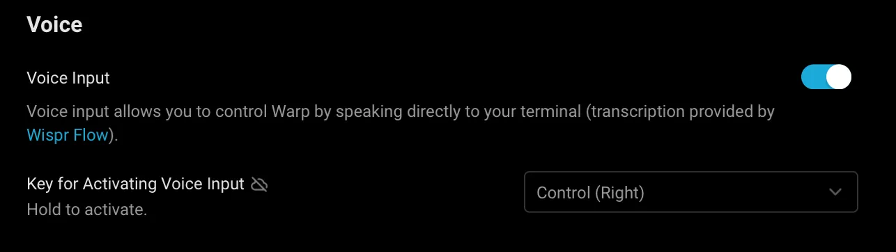 Voice settings panel showing hotkey configuration and voice input toggle options